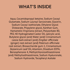 alps-goodness-cinnamon-salicylic-acid-and-hyaluronic-acid-acne-control-facewash-100-ml-45-8