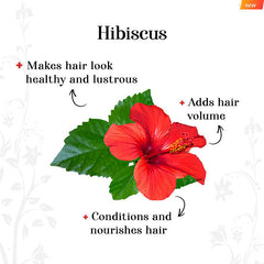 alps-goodness-hibiscus-and-methi-powder-150-gm-3