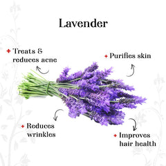 alps-goodness-lavender-essential-oil-30-ml-66-2