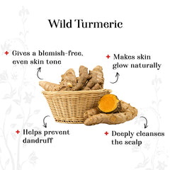 alps-goodness-powder-wild-turmeric-150-g-17-2