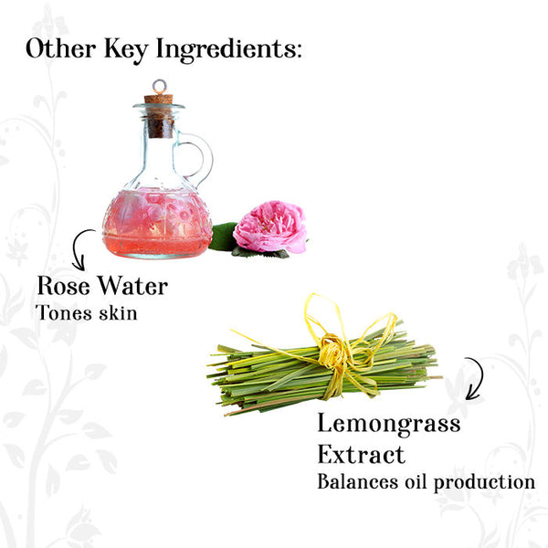 Tea Tree Clear Skin Facial Kit (36 g) Alps Goodness