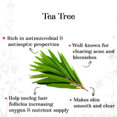 alps-goodness-tea-tree-essential-oil-30-ml-20-92-2