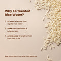 Alps Goodness Fermented Rice Water - Alps Goodness