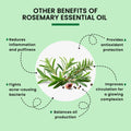 Alps Goodness Pure Essential Oil - Rosemary - Alps Goodness
