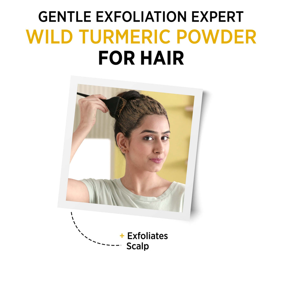 Alps Goodness Powder - Wild Turmeric - Alps Goodness