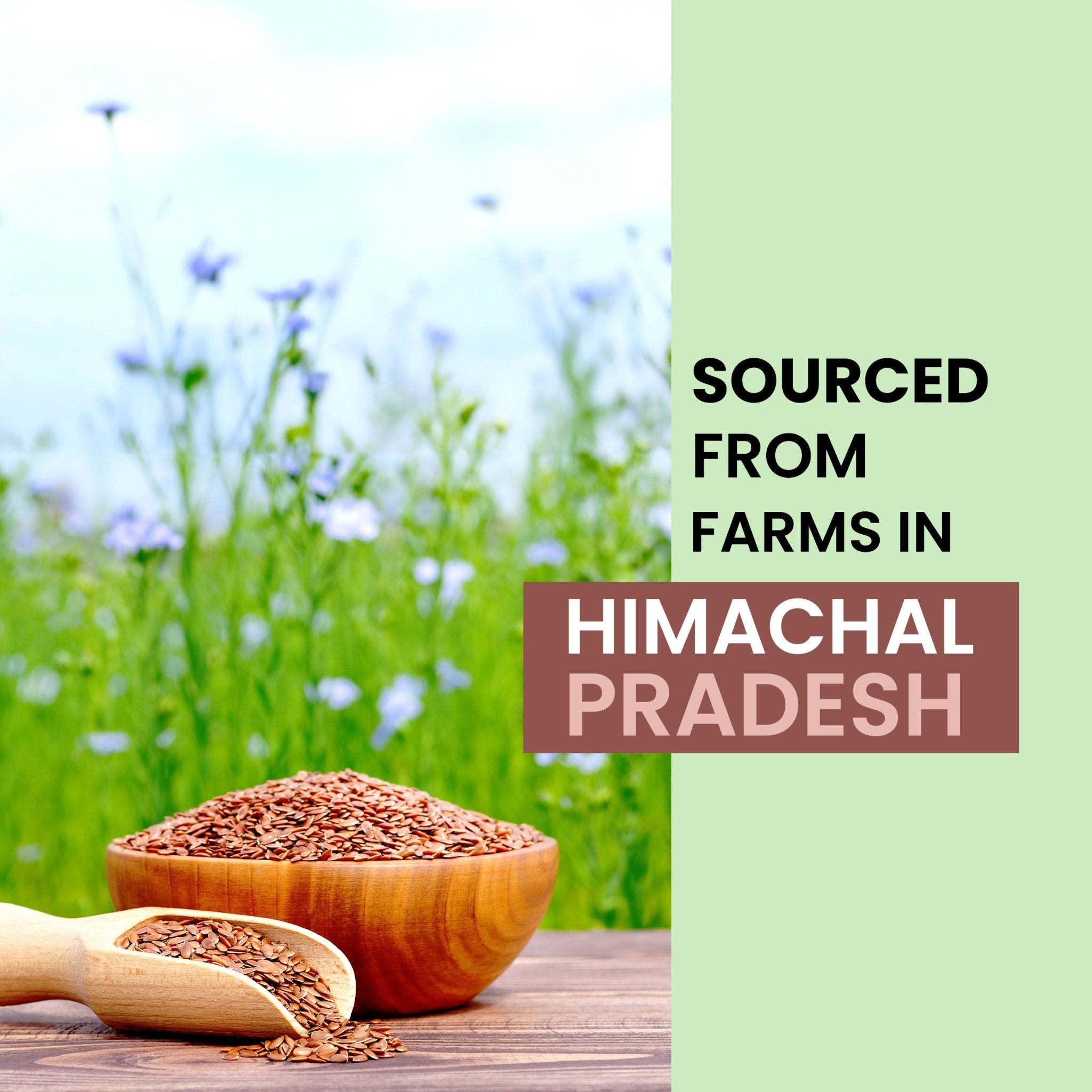 Alps Goodness Flaxseed Gel - Alps Goodness