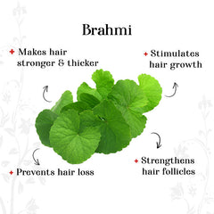 alps-goodness-brahmi-18-3