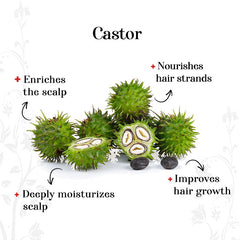 alps-goodness-castor-and-bringraj-hairfall-control-hair-oil-100-ml-2