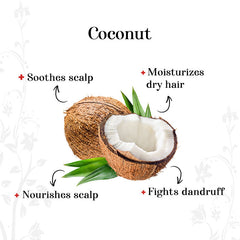 alps-goodness-coconut-and-neem-anti-dandruff-hair-oil-100-ml-4