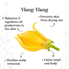 alps-goodness-essential-oil-ylang-ylang-5-ml-20-2
