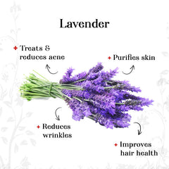 Pure Essential Oil - Lavender (10ml)