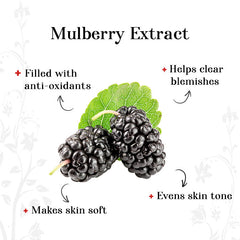 alps-goodness-mulberry-brightening-facial-kit-34-g-2