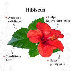 alps-goodness-powder-hibiscus-150-g-3