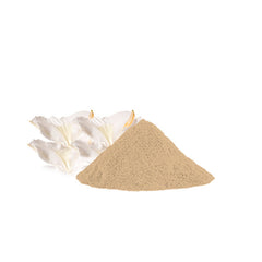 alps-goodness-powder-kapoor-kachari-50-g-4