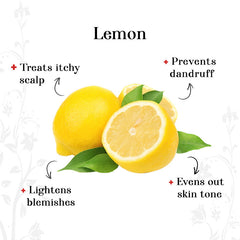 Powder - Lemon (250 gm)