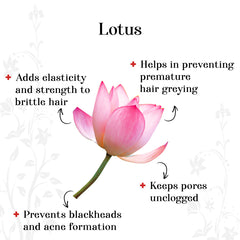 alps-goodness-powder-lotus-250-g-3