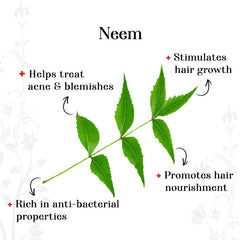 alps-goodness-powder-neem-150-g-38-2