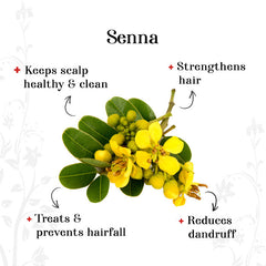 Powder - Senna (50 g)
