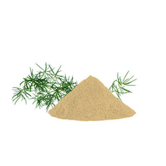 alps-goodness-powder-shatavari-50-g-20-2