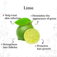 Pure Essential Oil - Lime (10 ml)