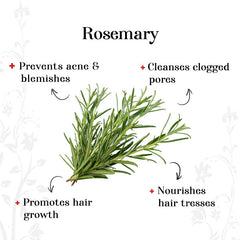 alps-goodness-rosemary-essential-oil-30-ml-90-2