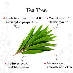 Tea Tree Clear Skin Facial Kit (36 g)