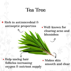 Pure Essential Oil - Tea Tree (10 ml)