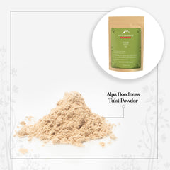 Powder - Tulsi (50 g)
